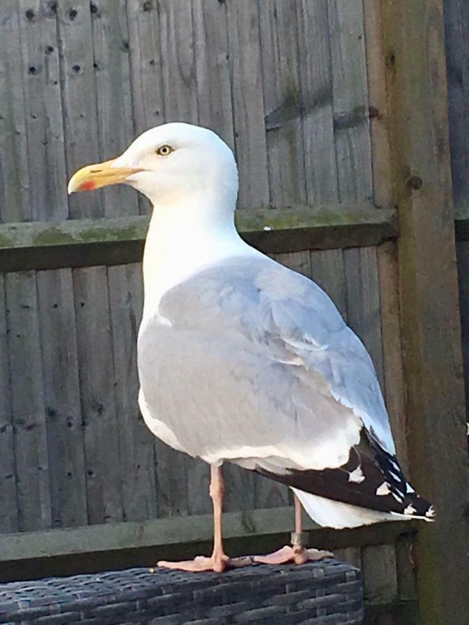 Holiday home Retreat Whitstable